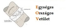 EOV - Egységes Országos Vetület
